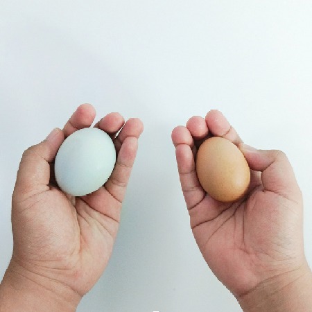 Eggs in hands