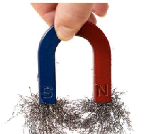 Magnet with filings
